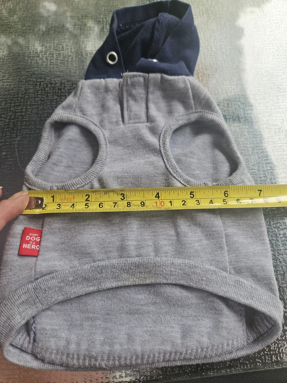 Howl If You Love Adventure Grey & Navy Dog Hoodie